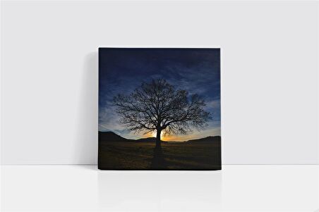 Ağaç Kanvas Tablo