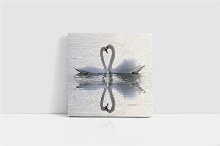 Beyaz Kuğu Kanvas Tablo