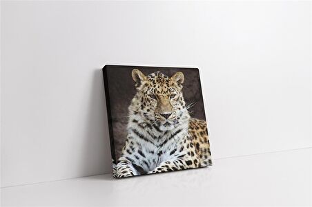 Vahşi Doğa Kaplan Kanvas Tablo