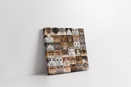 Kedi Kolajı Kanvas Tablo