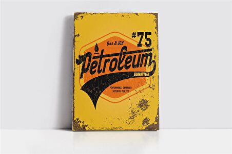 Vintage Retro Görsel Kanvas Tablo
