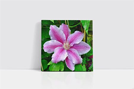 Mor Çiçek Kanvas Tablo