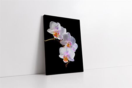 Beyaz Çiçek Kanvas Tablo