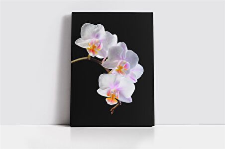 Beyaz Çiçek Kanvas Tablo