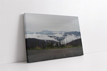 Bulutların Üzerinden Orman Kanvas Tablo