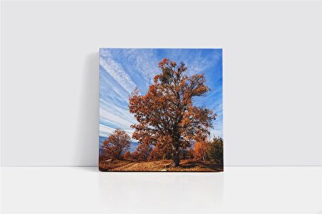 Çiçek Açmış Ağaç Kanvas Tablo