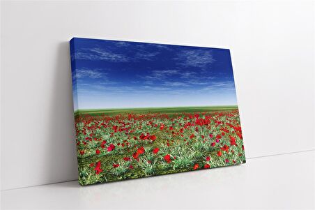 Kırmızı Lale Kanvas Tablo