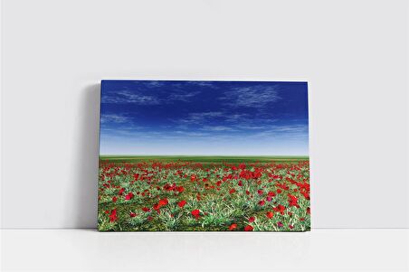 Kırmızı Lale Kanvas Tablo