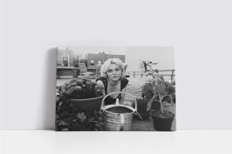 Ed Sheeran Kanvas Tablo