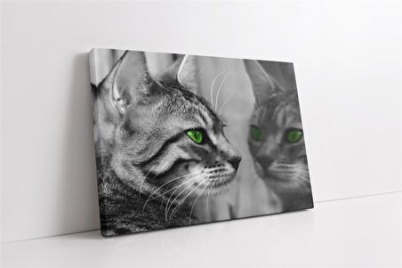 Siyah Beyaz Kedi Kanvas Tablo