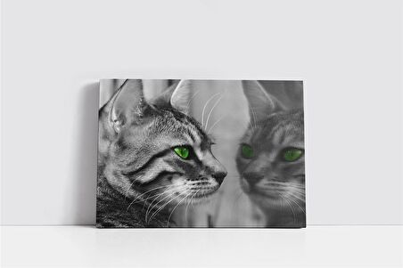 Siyah Beyaz Kedi Kanvas Tablo