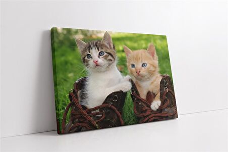 Kedi Yavrusu Kanvas Tablo