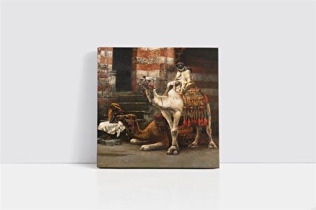 Kahire Bir Cadde Üzerinde Ki Develer Kanvas Tablo