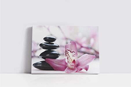 Spa Taşları ve Orkide Kanvas Tablo
