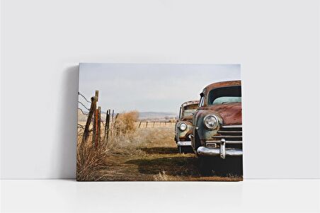 Terk Edilmiş Klasik Araba Kanvas Tablo