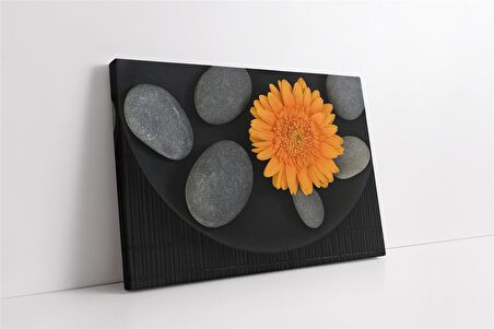 Turuncu Aster ve Spa Taşları Kanvas Tablo