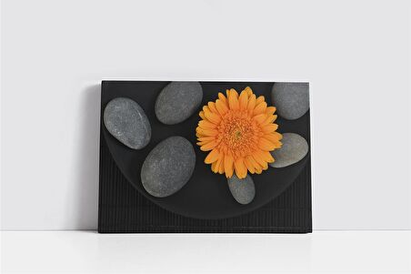 Turuncu Aster ve Spa Taşları Kanvas Tablo