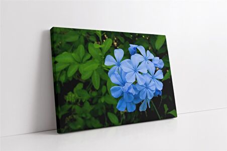 Mavi Çiçek Kanvas Tablo