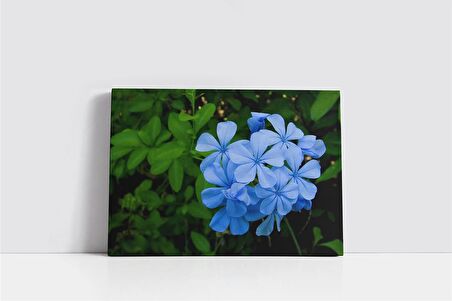 Mavi Çiçek Kanvas Tablo