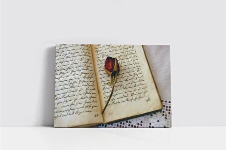 Kitabın Arasındaki Gül Kanvas Tablo