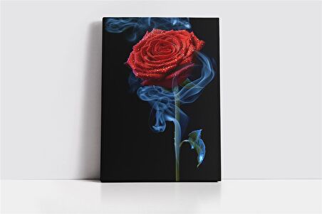 Kırmızı Gül Kanvas Tablo