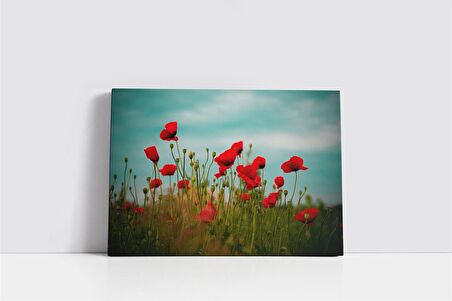 Kırmızı Çiçekler Kanvas Tablo