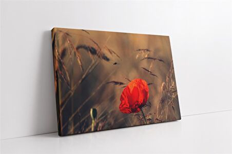 Kırmızı Çiçek Kanvas Tablo