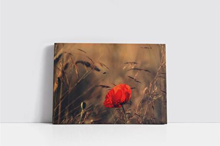 Kırmızı Çiçek Kanvas Tablo