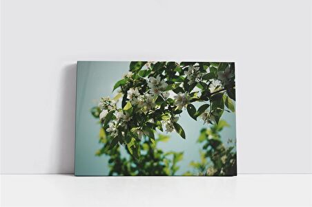 Dalında Çiçekler Kanvas Tablo