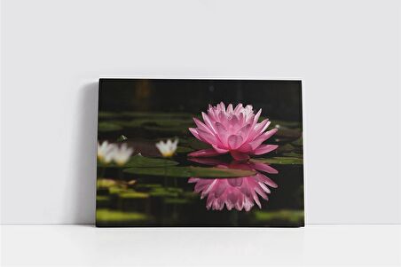 Pembe Nilüfer Kanvas Tablo