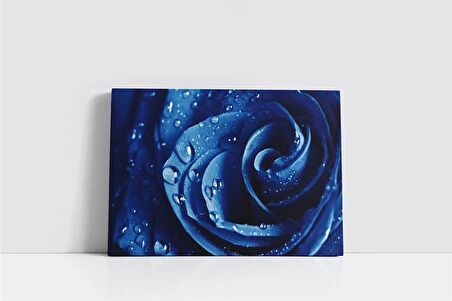 Mavi Gül İllüzyonu Kanvas Tablo