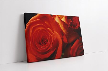 Kırmızı Gül Kanvas Tablo
