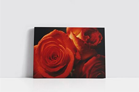 Kırmızı Gül Kanvas Tablo