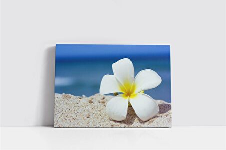 Beyaz Çiçek Kanvas Tablo