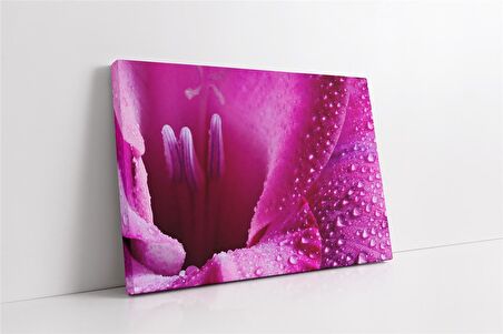 Pembe Çiçek Makro Kanvas Tablo