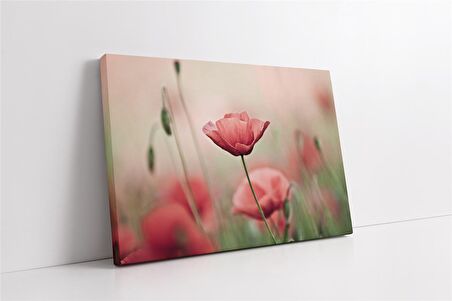 Çiçekler Kanvas Tablo