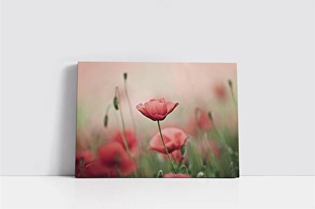 Çiçekler Kanvas Tablo