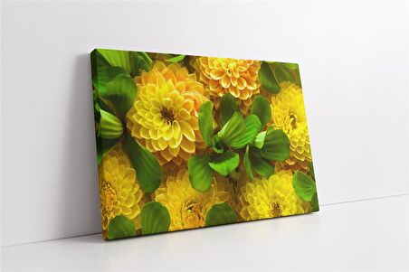 Çiçek Kanvas Tablo
