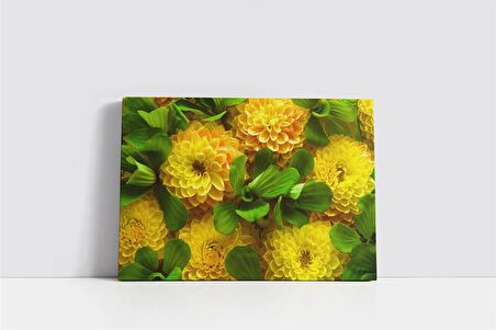 Çiçek Kanvas Tablo