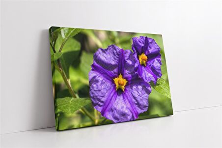 Çiçek Kanvas Tablo