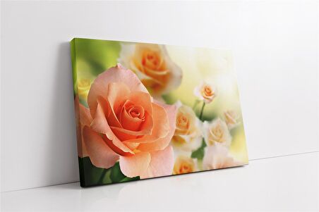 Soft Pembe Güller Kanvas Tablo