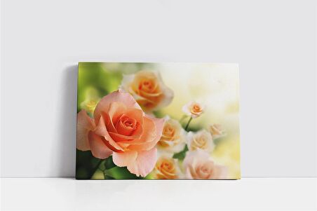 Soft Pembe Güller Kanvas Tablo