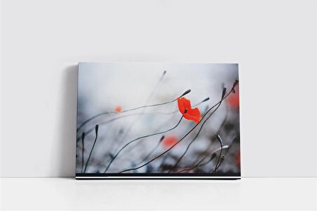 Çiçeklerin Rüzgarla Dansı Kanvas Tablo