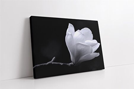 Saf Beyaz Çiçek Kanvas Tablo