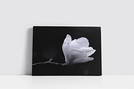 Saf Beyaz Çiçek Kanvas Tablo