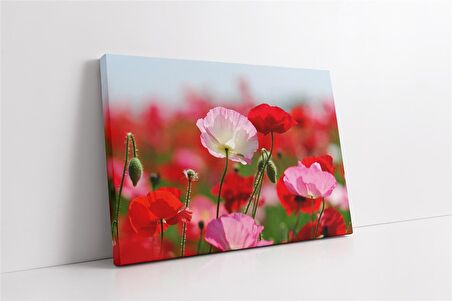 Çiçeklerin Rüzgarla Dansı Kanvas Tablo