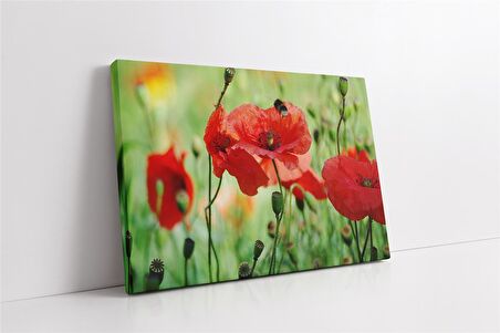Kırmızı Çiçek Kanvas Tablo