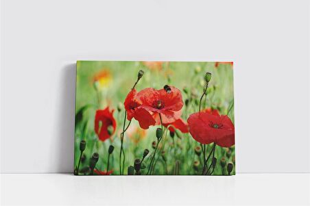 Kırmızı Çiçek Kanvas Tablo