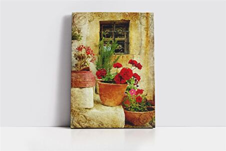 Merdiven Üstünde Saksılar Kanvas Tablo