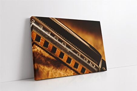 Mızıka Kanvas Tablo